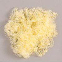 Darice Doll Hair, Lemon Ash Blonde 1/2 oz