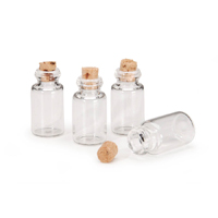 Darice Timeless Minis - Spice Bottles with Corks