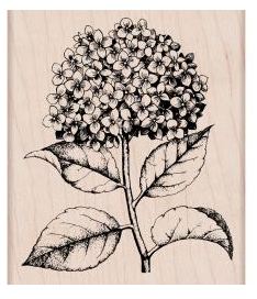 Hero Arts Wood Stamp - Hydrangea 3.25"X3.75"