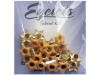 ScrapArts Eyelets 3/16 Star 25 pc - Cantalope